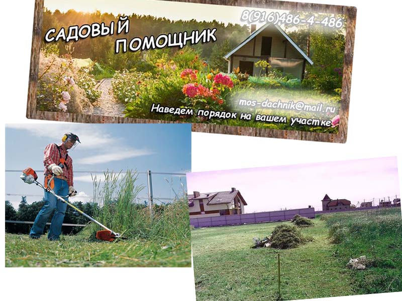Интернет Магазин Садовый Помощник Написать Комментарий