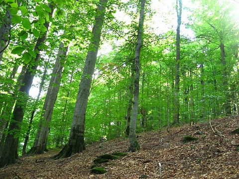 Земельный массив 14000 Га в Краснодарском крае.